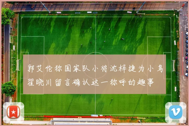 郭艾伦称国家队小将沈梓捷为小鸟翟晓川留言确认这一称呼的趣事