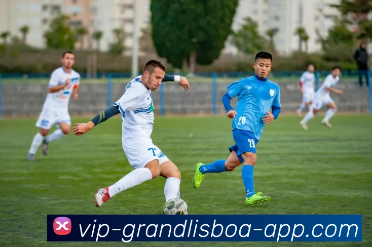 多媒体互动体验