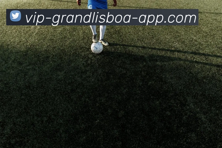 新葡京娱乐APP 高清赛事图